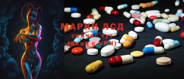 спайс Няндома
