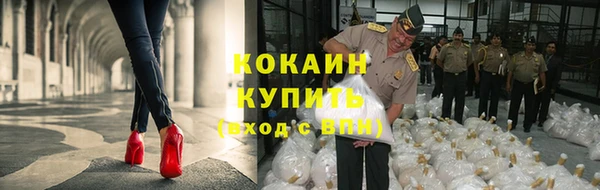 прущие крисы Новодвинск