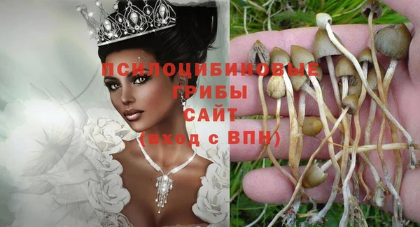 прущие крисы Новодвинск