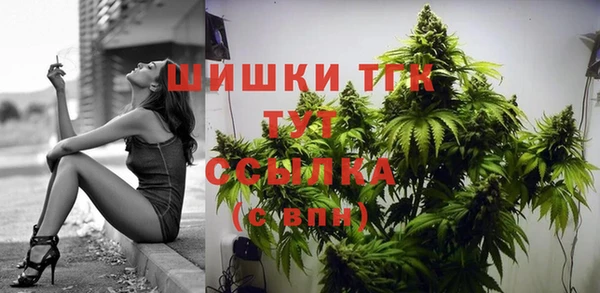 прущие крисы Новодвинск