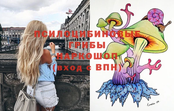 соль ск Нязепетровск