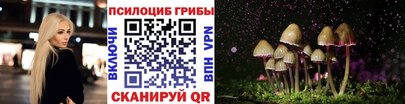 хочу   Княгинино  Псилоцибиновые грибы мицелий 